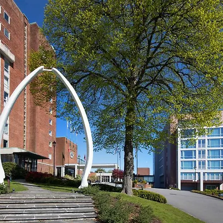 Scandic Park